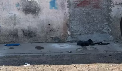 Encuentran sin vida a adulto mayor