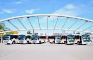 Cajeme suma nuevos camiones y moderniza su transporte urbano