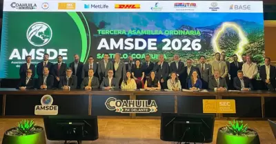 AMSDE