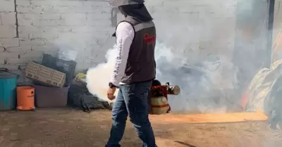 Dengue
