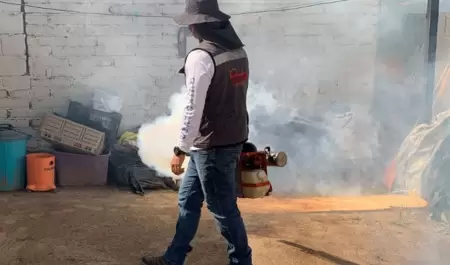 Dengue