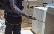 Fumigan m�s de 4 mil viviendas contra garrapatas en Sonora