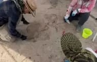 Hallan posible zona de exterminio en Viesca, Coahuila