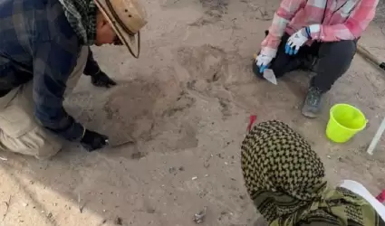 Viesca, Coahuila