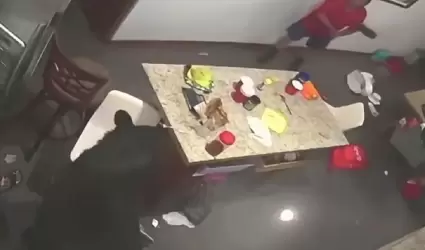 Oso