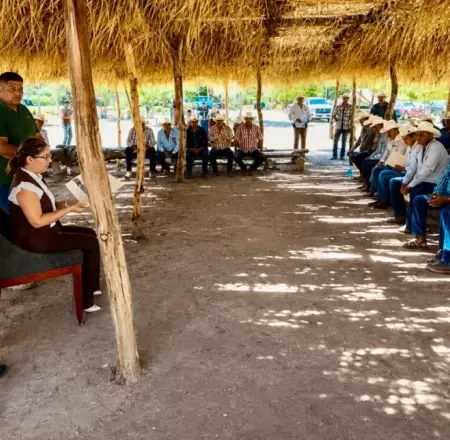 Comunidades yaquis