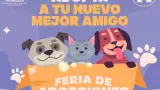 Adopta