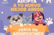 �Adopta y encuentra a tu nuevo mejor amigo!