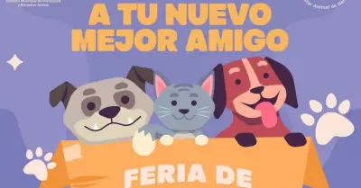 Adopta