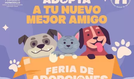 Adopta