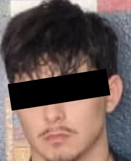 Detenido