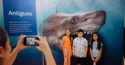 TIBURONES