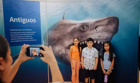 TIBURONES