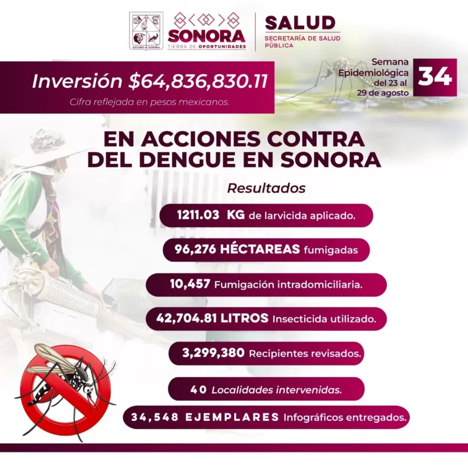 Prevención del dengue