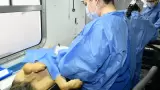 castraci�n gratuita para perros y gatos