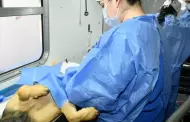 Invita Gobierno de Hermosillo a jornada de castraci�n gratuita para perros y gatos en Los Encinos