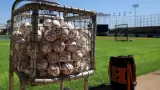 Naranjeros