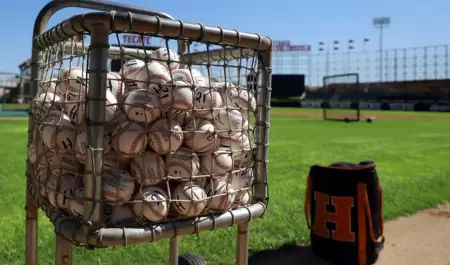 Naranjeros