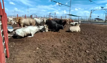 Estaci�n cuarentenaria de Agua Prieta