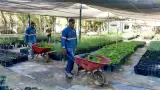 Vivero Municipal,