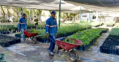Vivero Municipal,