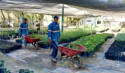 Vivero Municipal,