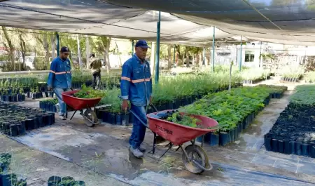 Vivero Municipal,