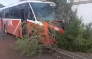 Cami�n de la L�nea 17 se impacta contra barda de una casa; hay dos lesionados