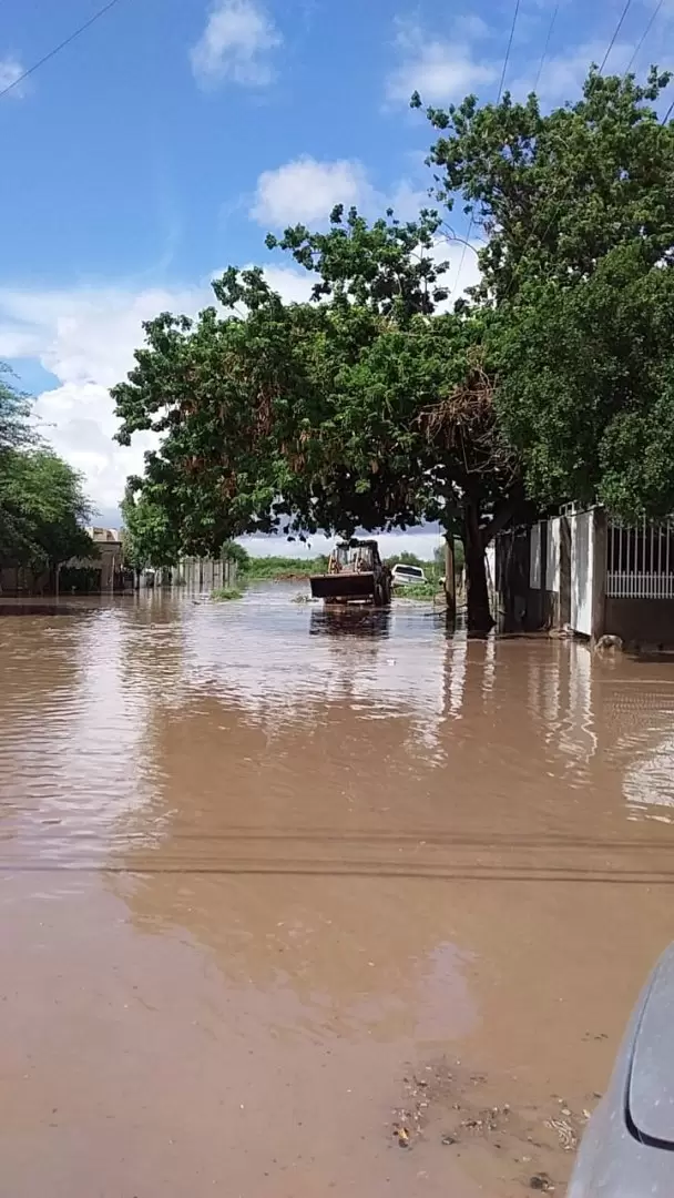 Afectaciones por lluvias en Miguel Alemán.