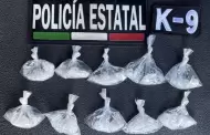 Fortalecen seguridad en colonias de Hermosillo