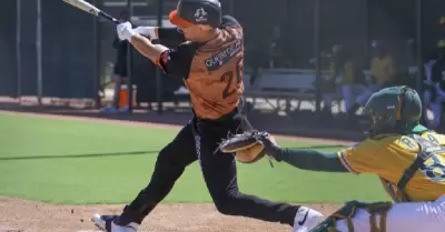 Naranjeros