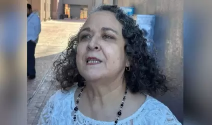 Mar�a Soledad Vel�zquez, titular de Icreson