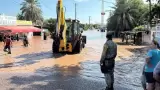 Polo en Sonora