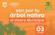 Regalar�n �rboles nativos en Hermosillo