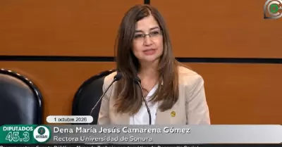 Dena Camarena