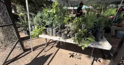 Vivero Municipal
