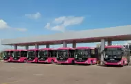 L�nea Expr�s en Hermosillo se equipa con tecnolog�a inteligente