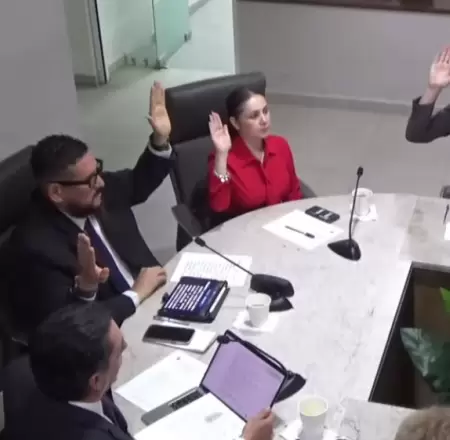 Comisi�n del Congreso