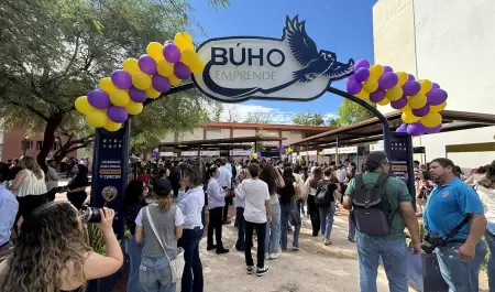 B�ho Emprende, Unison