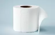 �Cu�les son las mejores marcas de papel de ba�o?