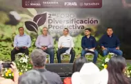 Buscan diversificar el campo con nuevas opciones de cultivo