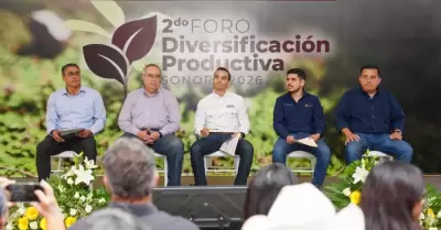 Foro de Diversificaci�n Productiva