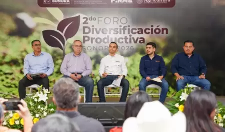 Foro de Diversificaci�n Productiva