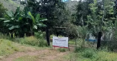 Nayarit