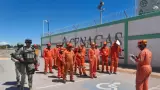 Cenagas