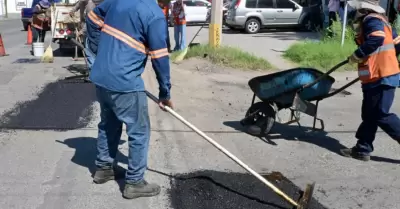 Bacheo