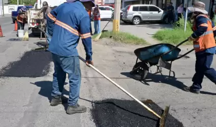 Bacheo