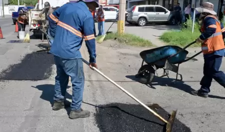 Bacheo