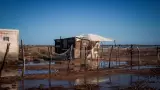Bah�a de Lobos