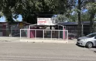 Plaga de alacranes mantiene cerrado el k�nder "Jiapsi", al sur de Hermosillo